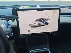 Tesla Model 3 Rear-Wheel Drive - ფოტო 15