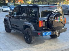 Tank 300 2021 Off-Road Edition 2.0T Conqueror - ფოტო 4