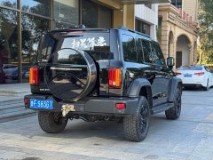 Tank 300 2021 Off-Road Edition 2.0T Conqueror - ფოტო 6