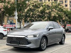 BYD Qin Plus DM-i 55KM Flagship - ფოტო 1