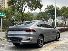BYD Qin Plus DM-i 55KM Flagship - ფოტო 10
