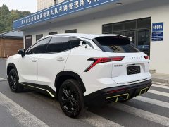 Jetour Jietu Dasheng 1.5T DCT Youth Edition - ფოტო 15