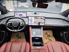 Luxeed Zhiji S7 Max - ფოტო 8