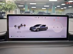 Luxeed Zhiji S7 Max - ფოტო 9