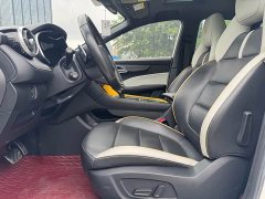 SAIC MG6 Pro 1.5T Automatic Trophy Luxury Edition - ფოტო 5