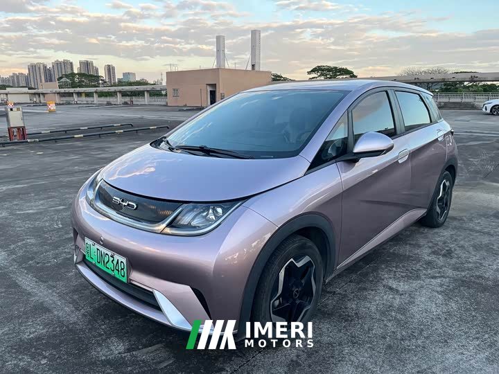 BYD Dolphin 405km Freedom Edition - ავტომობილი ჩინეთიდან