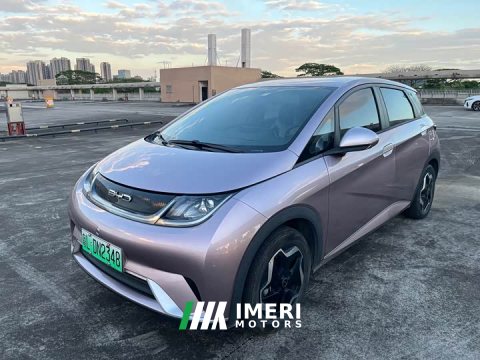 2022 BYD Dolphin 405km Freedom Edition - ავტომობილი ჩინეთიდან