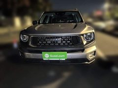 Haval Big Dog PLUS 2.0T Two-Wheel Drive Trendy Wilderness Edition Plus - ფოტო 2