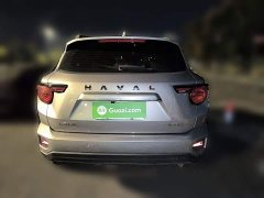 Haval Big Dog PLUS 2.0T Two-Wheel Drive Trendy Wilderness Edition Plus - ფოტო 3