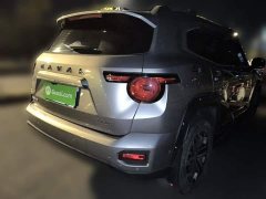 Haval Big Dog PLUS 2.0T Two-Wheel Drive Trendy Wilderness Edition Plus - ფოტო 4