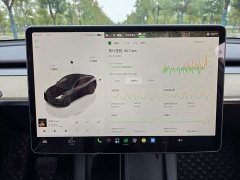 Tesla Model Y 2022 Facelift Rear-Wheel Drive - ფოტო 17