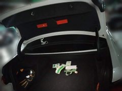 BMW 3 Series 320Li M Sport Package - ფოტო 15