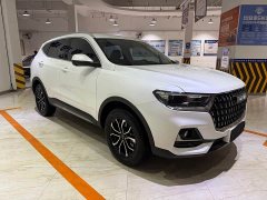 Haval H6 National Trend Edition 1.5T Automatic Urban Version - ფოტო 3