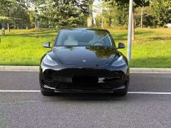Tesla Model Y Rear-Wheel Drive - ფოტო 2