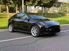 Tesla Model Y Rear-Wheel Drive - ფოტო 3