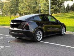 Tesla Model Y Rear-Wheel Drive - ფოტო 7