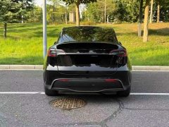 Tesla Model Y Rear-Wheel Drive - ფოტო 8
