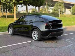 Tesla Model Y Rear-Wheel Drive - ფოტო 9