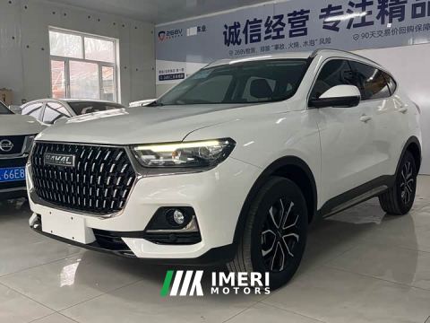 2023 Haval H6 National Trend Edition 1.5T Automatic Urban Version