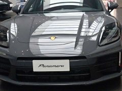 Porsche Panamera Enjoy Edition 2.9T - ფოტო 2