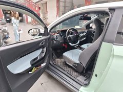 Chery Ant Sweet Pink Half-Sugar Ternary Lithium 30kW 301km - ფოტო 12