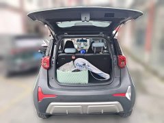 Chery Ant Sweet Pink Half-Sugar Ternary Lithium 30kW 301km - ფოტო 15