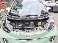 Chery Ant Sweet Pink Half-Sugar Ternary Lithium 30kW 301km - ფოტო 16