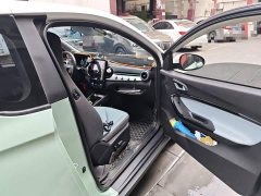 Chery Ant Sweet Pink Half-Sugar Ternary Lithium 30kW 301km - ფოტო 19