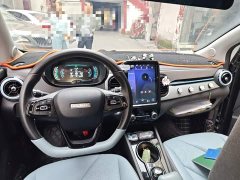 Chery Ant Sweet Pink Half-Sugar Ternary Lithium 30kW 301km - ფოტო 5