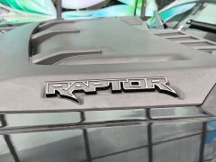 Ford F-150 Raptor 2023 3.5T Raptor - ფოტო 19