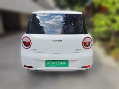 Changan Lumin 2024 130km Pure Joy Edition - ფოტო 3