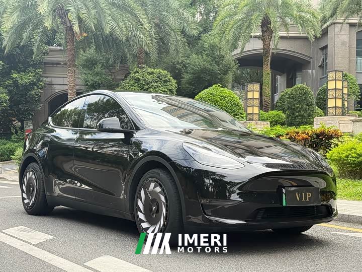 Tesla Model Y Long Range All-Wheel Drive