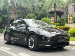Tesla Model Y Long Range All-Wheel Drive - ფოტო 1