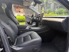 Tesla Model Y Long Range All-Wheel Drive - ფოტო 10