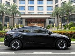 Tesla Model Y Long Range All-Wheel Drive - ფოტო 16