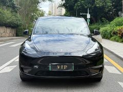 Tesla Model Y Long Range All-Wheel Drive - ფოტო 2