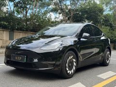 Tesla Model Y Long Range All-Wheel Drive - ფოტო 3