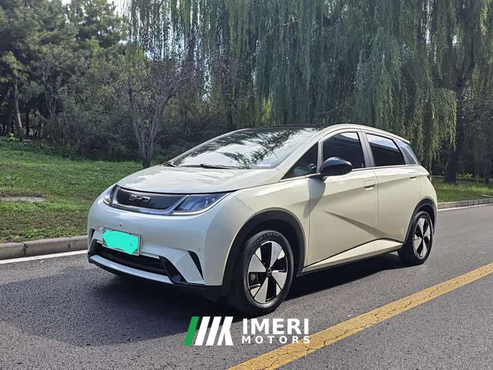 BYD Dolphin 420km Fashion Edition