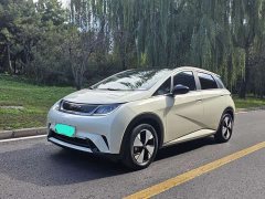 BYD Dolphin 420km Fashion Edition - ფოტო 1