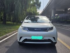 BYD Dolphin 420km Fashion Edition - ფოტო 2
