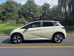 BYD Dolphin 420km Fashion Edition - ფოტო 5