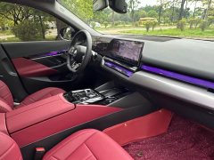 BMW 5 Series 530Li Premier M Sport Package - ფოტო 17