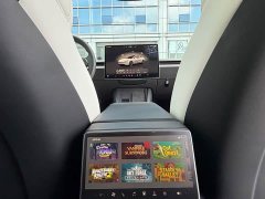 Tesla Model 3 High Performance All-Wheel Drive - ფოტო 11