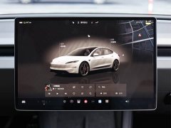 Tesla Model 3 High Performance All-Wheel Drive - ფოტო 12