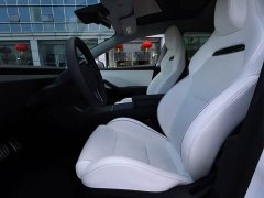 Tesla Model 3 High Performance All-Wheel Drive - ფოტო 14