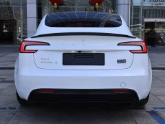 Tesla Model 3 High Performance All-Wheel Drive - ფოტო 4
