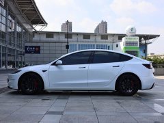 Tesla Model 3 High Performance All-Wheel Drive - ფოტო 7