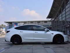 Tesla Model 3 High Performance All-Wheel Drive - ფოტო 8