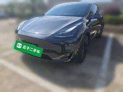 Tesla Model Y Rear-Wheel Drive - ფოტო 1