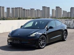 Tesla Model 3 Standard Range RWD Upgrade - ფოტო 1